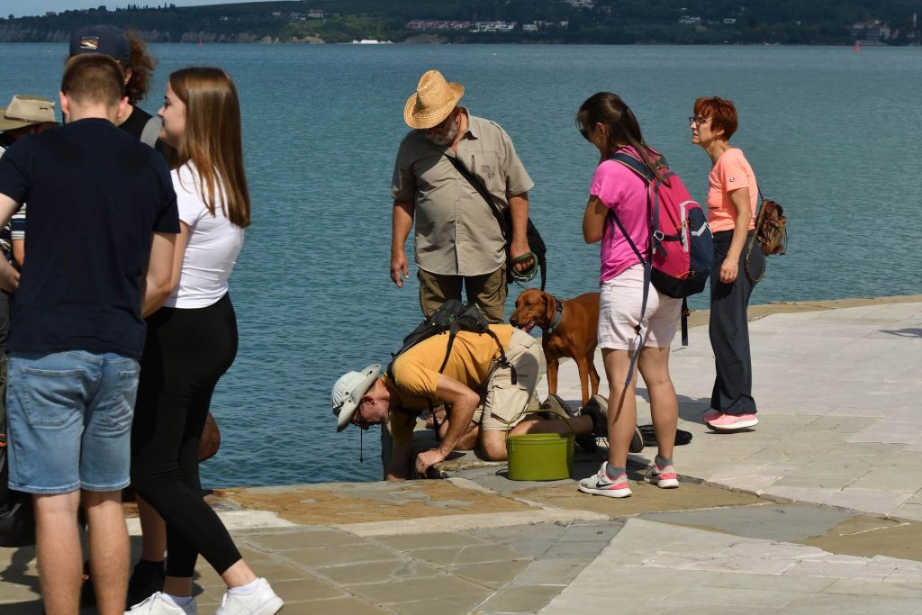 Biológiai tanulmányút a szlovén tengerparton Biológiai tanulmányút a szlovén tengerparton