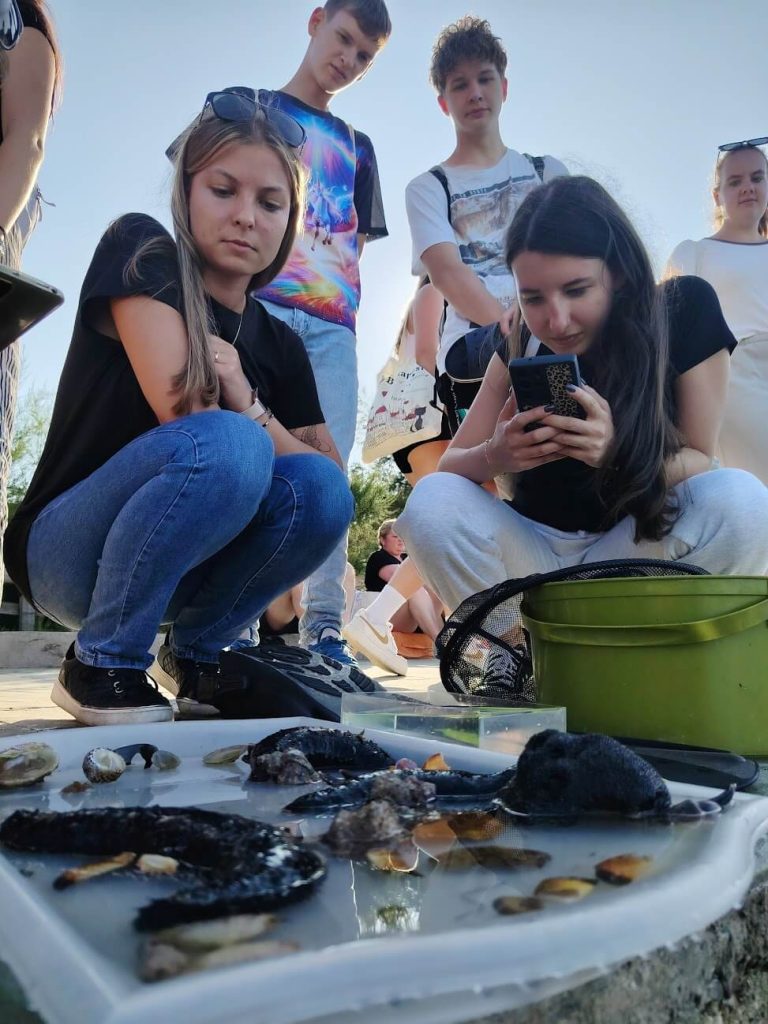 Biológiai tanulmányút a szlovén tengerparton 7 Biológiai tanulmányút a szlovén tengerparton 7