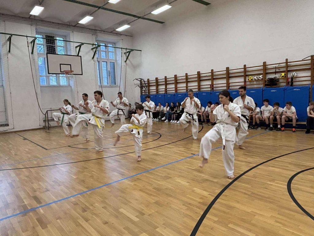 karate (1) Karate (1)