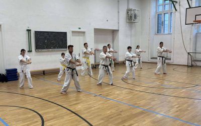 Karatebemutató iskolánkban