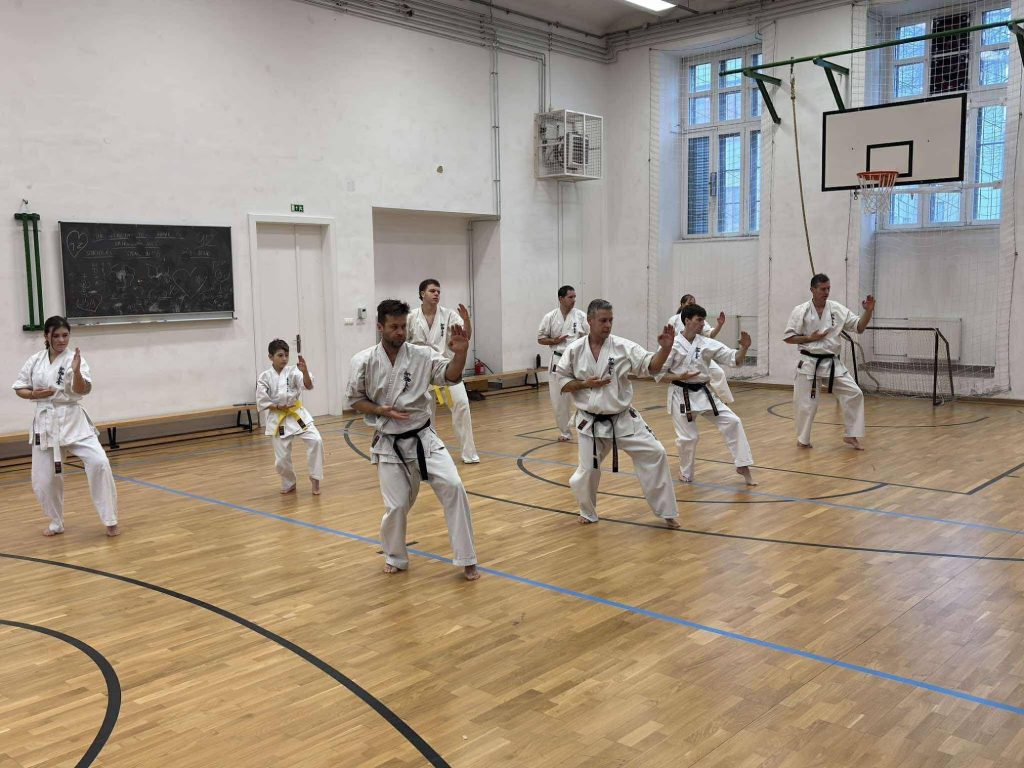 karate (3) Karate (3)