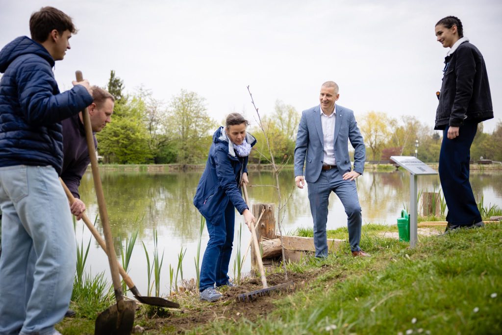 Ballagók fája (18)